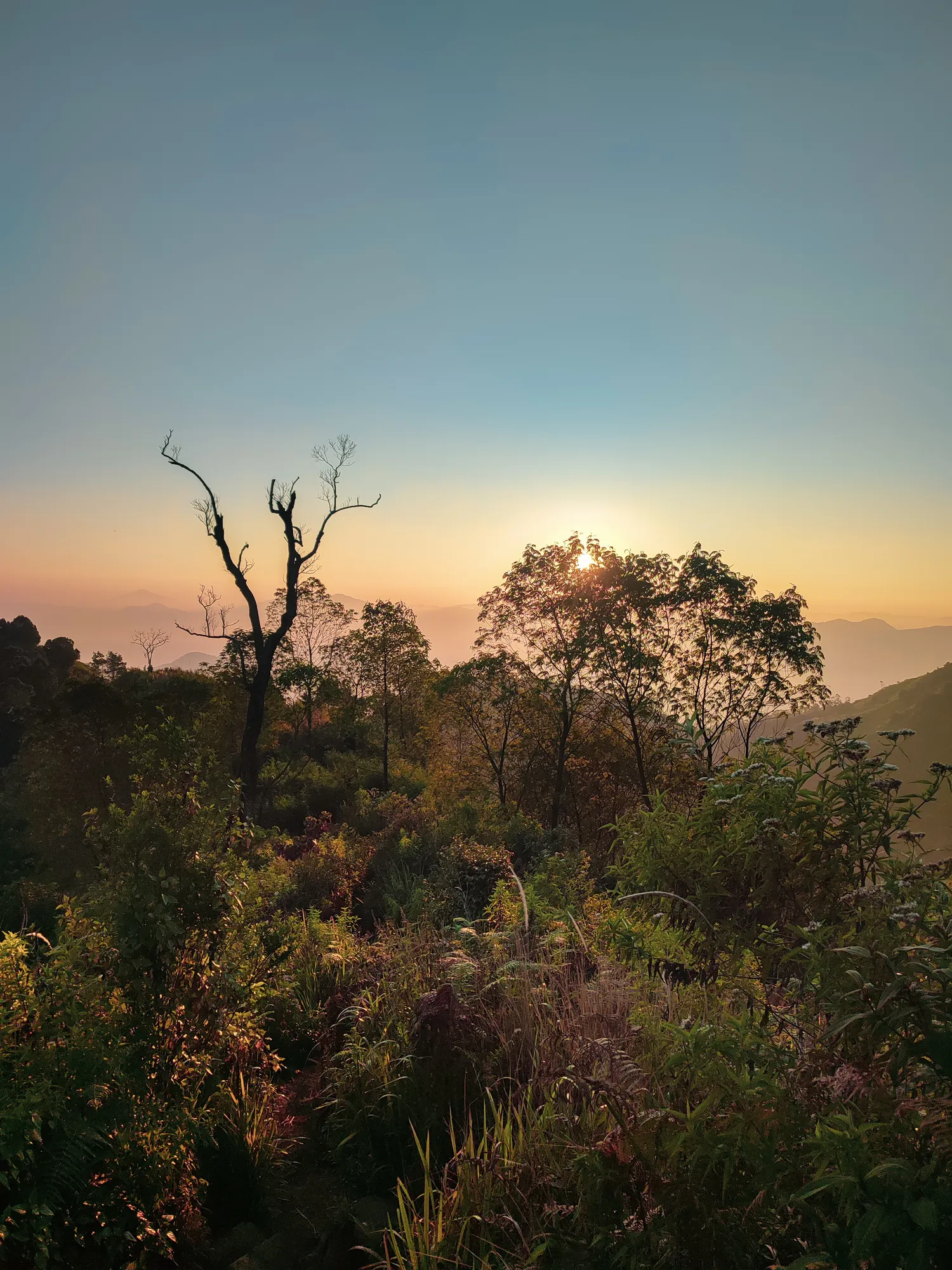 Landscape Photography